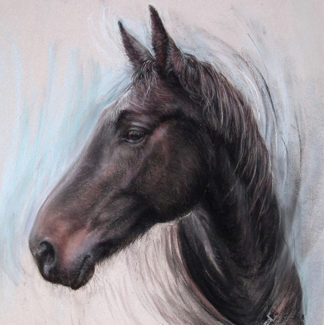 Original Paintings of Horses