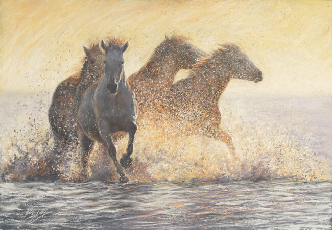 Sunrise in the Camargue, SOLD