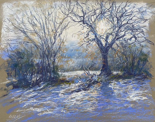 Winter Trees, sketch