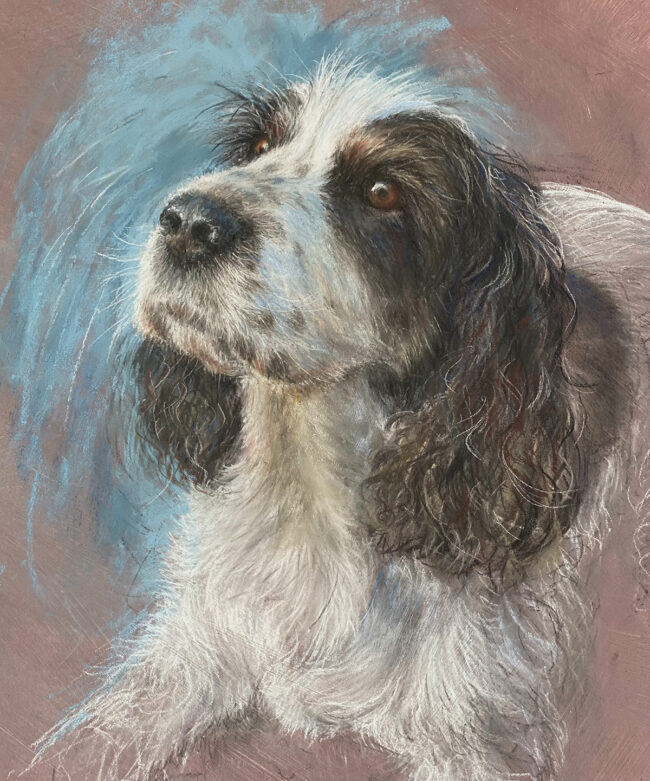 ‘Animals in Pastels’ course