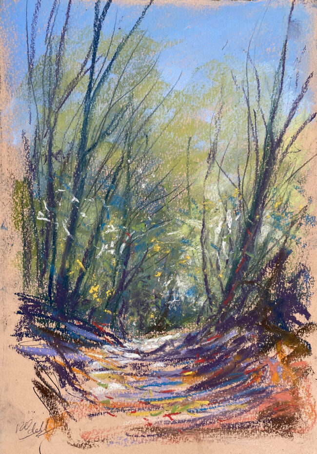 Languedoc sketch 12