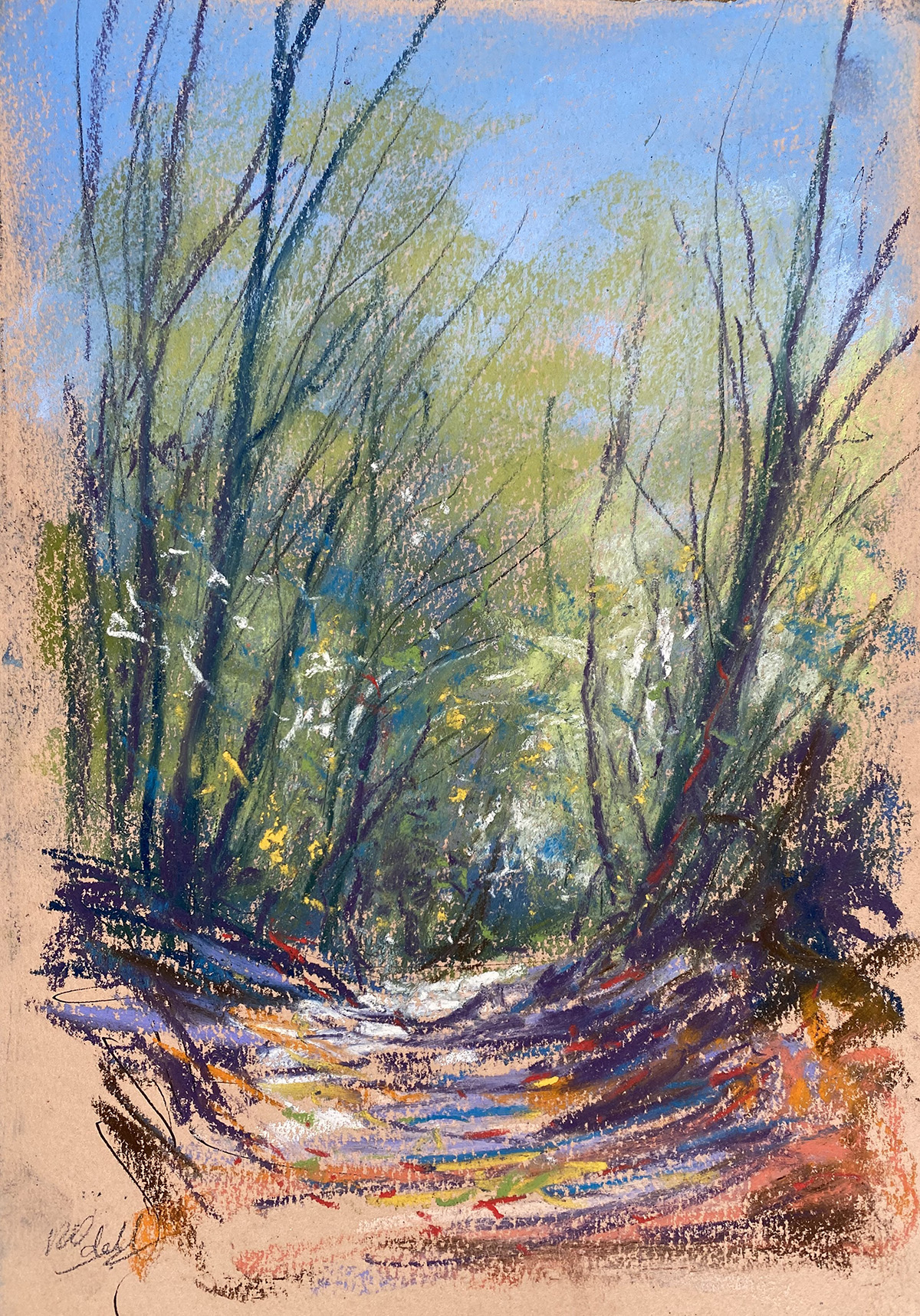 Languedoc sketch 12