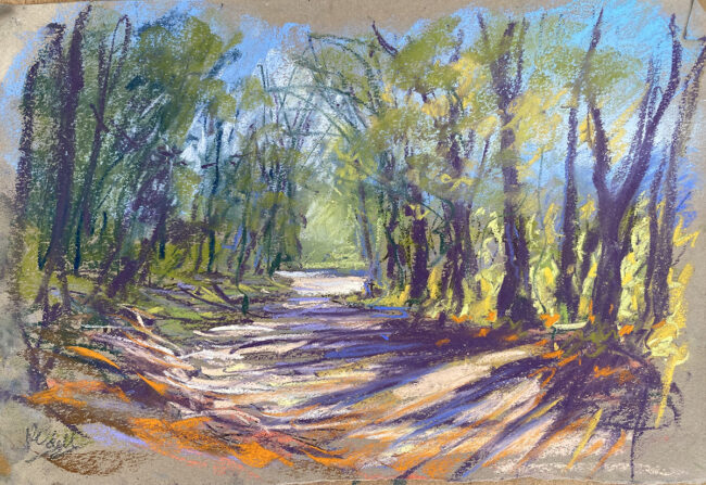 Languedoc sketch 13