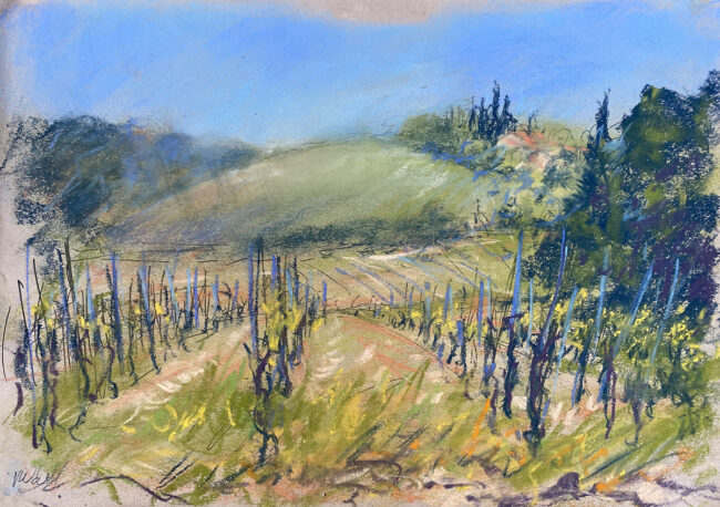 Languedoc Vineyard 3 skecth